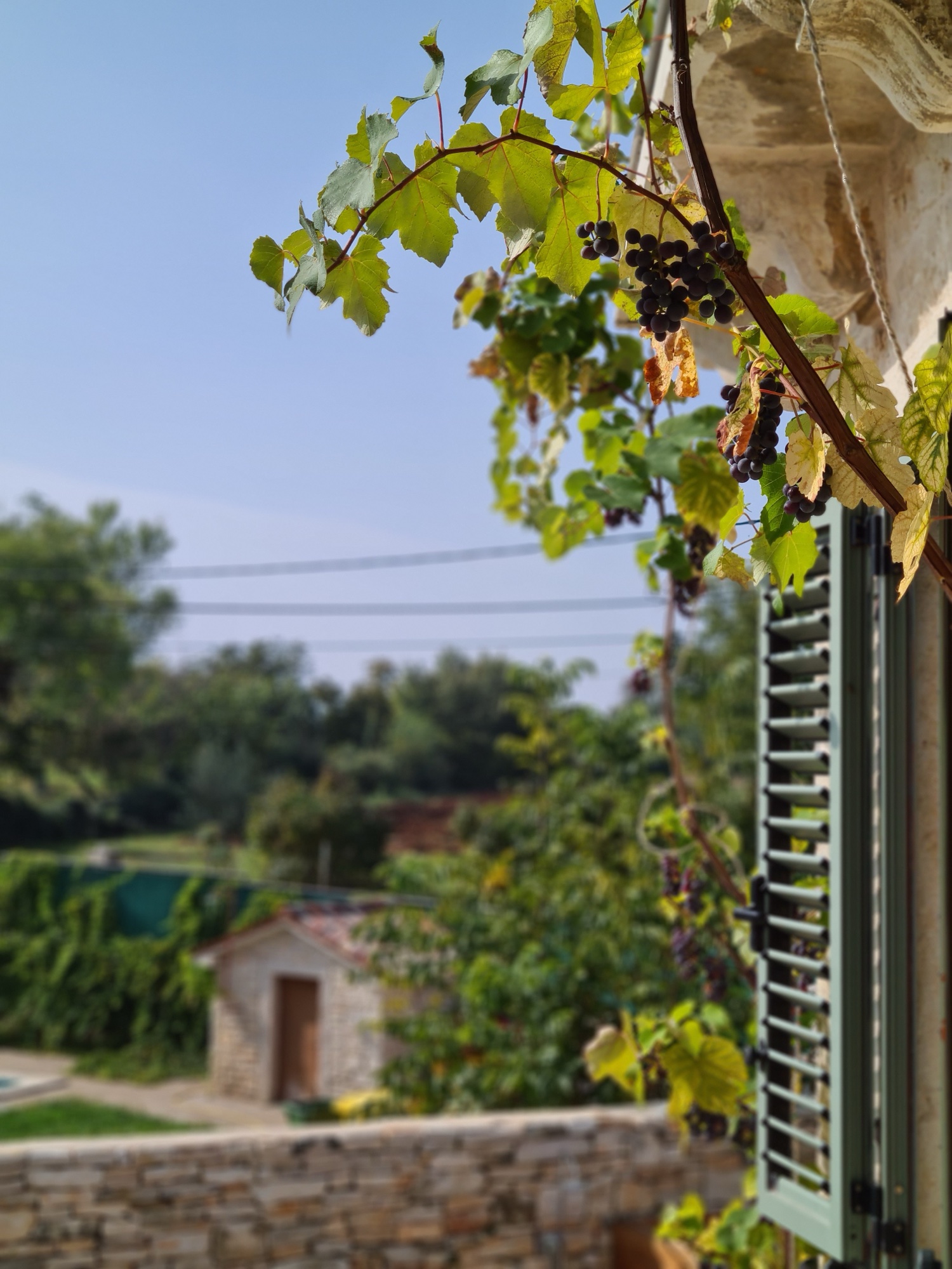 Villa Qualia entrance